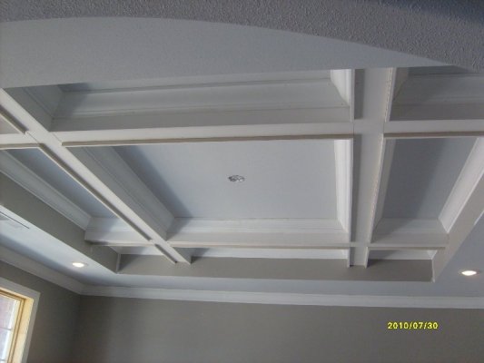 Miller Jul 30 2010 007 Dining ceilling 800x600